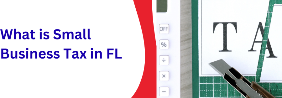what is small business tax in florida